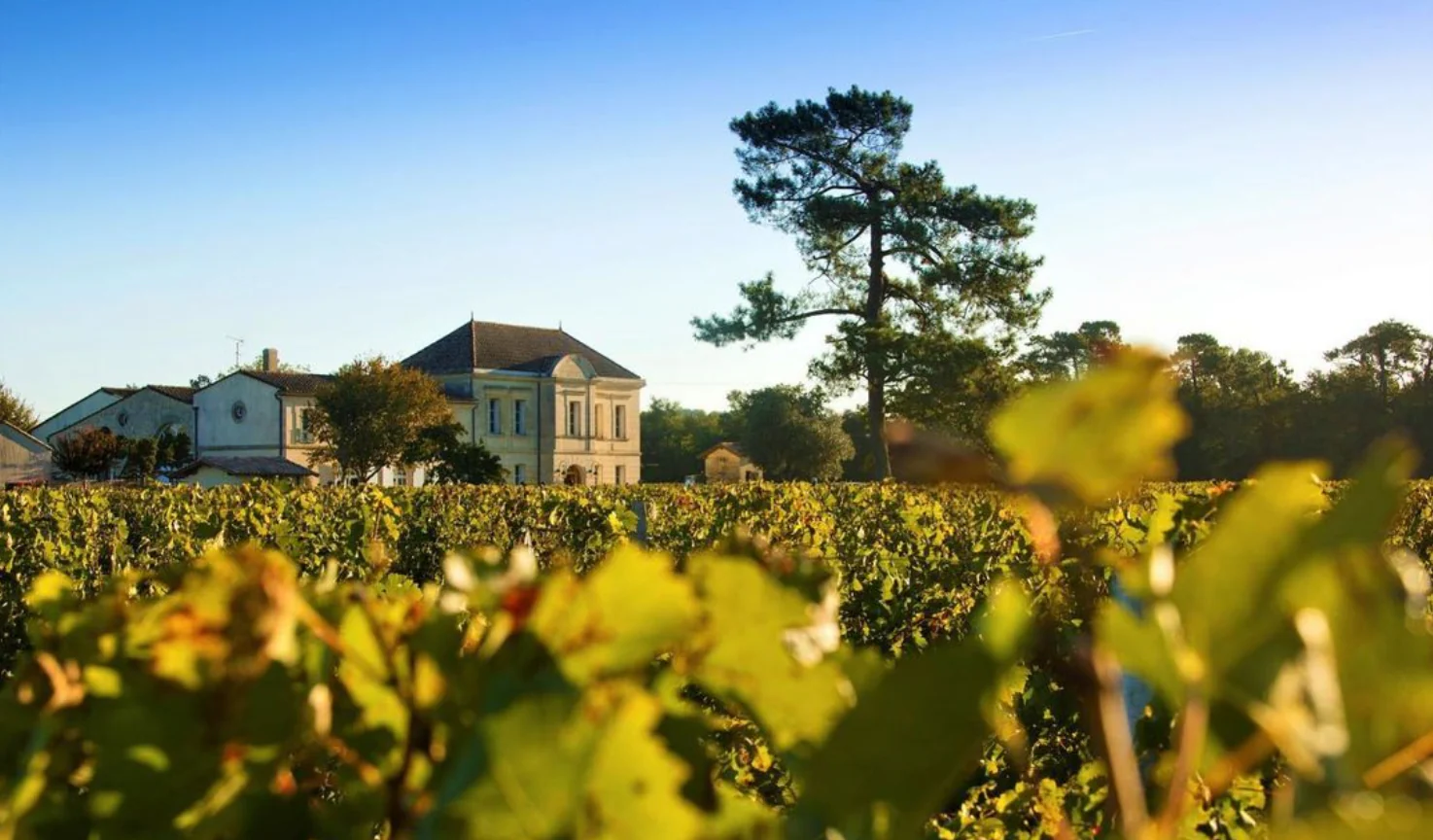 Beyond El Septimo: Zaya Younan’s Wine Legacy